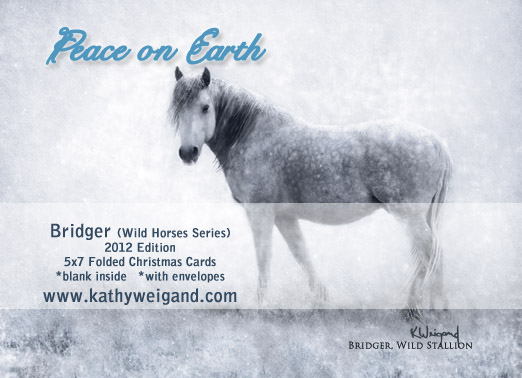 Christmas Cards … Bridger, Wild Horse Edition