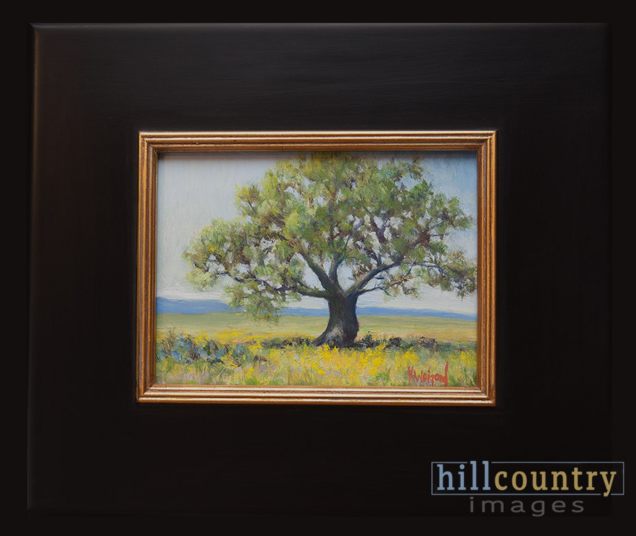 Lone Oak  – New Oil Painting!  Hill Country Images in Fredericksburg TX